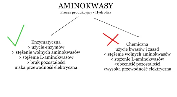 Porównanie metod produkcji aminokwasów: enzymatyczna (zielony ptaszek) vs chemiczna (czerwony krzyżyk). Różnice w stężeniu, pozostałościach i przewodności.