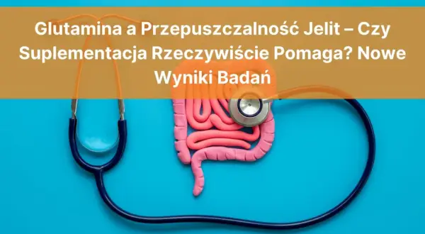 Model jelit i stetoskop. Czy glutamina na jelita to klucz do zdrowia? Nowe wyniki badań.