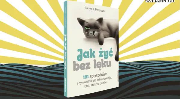 Życie bez lęku? Skuteczne strategie i pomoc, gdy domowe sposoby nie wystarczą