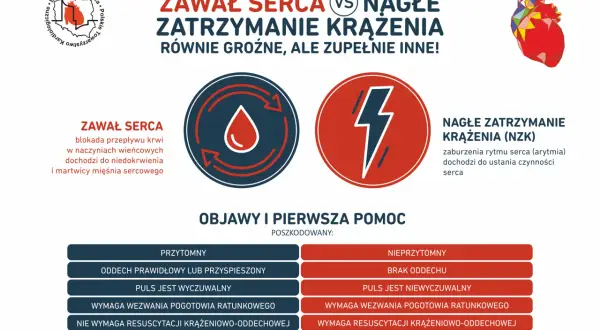 Jak zapobiec zawałowi serca? Kompletny przewodnik dla Polaków