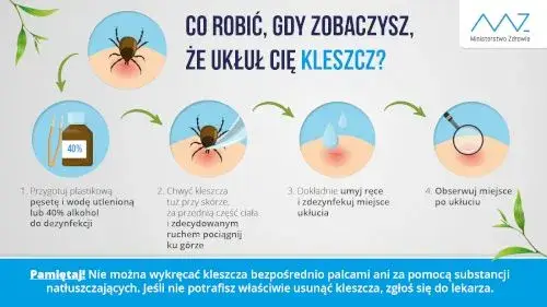Jak zapobiec boreliozie? Twój kompletny poradnik ochrony przed kleszczami