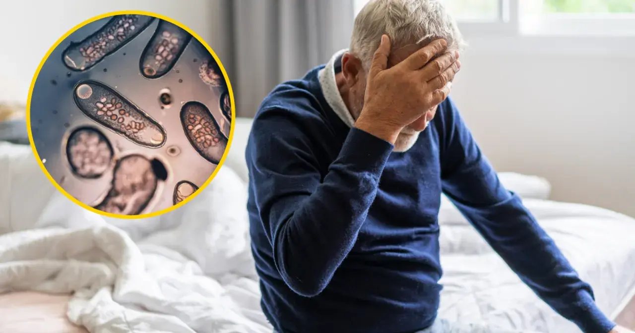 Toksoplazmoza a psychika: Czy pasożyt zmienia Twój umysł?
