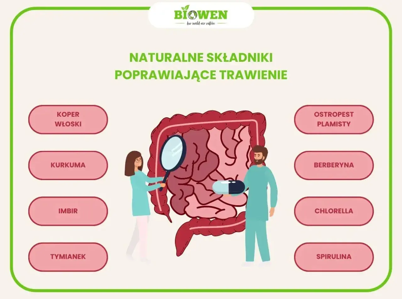Naturalne składniki co wspomaga trawienie: koper włoski, kurkuma, imbir, tymianek, ostropest plamisty, berberyna, chlorella, spirulina.