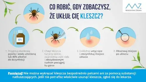 Jak zapobiec boreliozie? Twój kompletny poradnik ochrony przed kleszczami